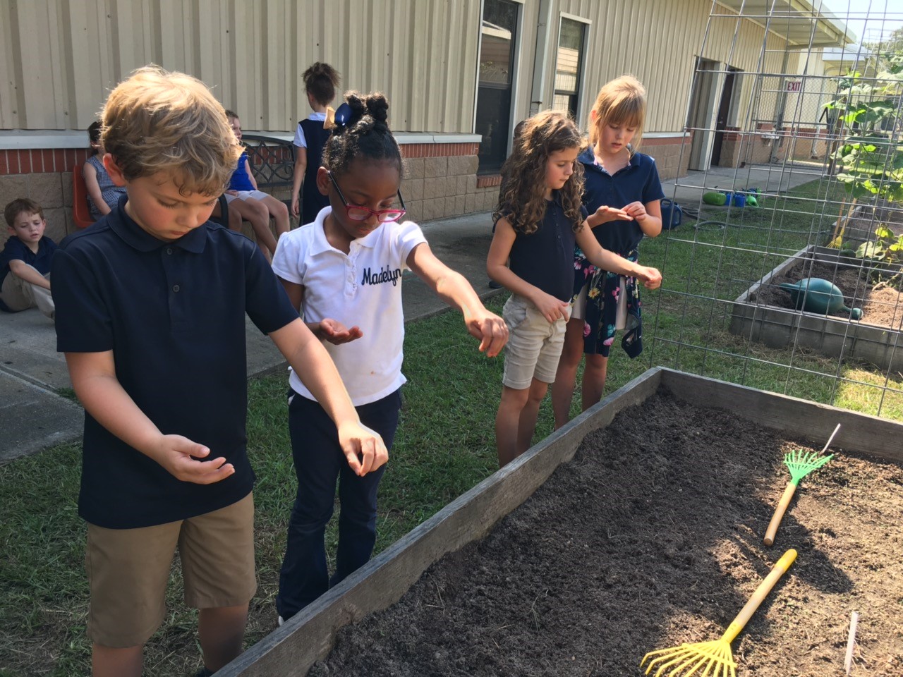 School garden harvest shared with food pantry